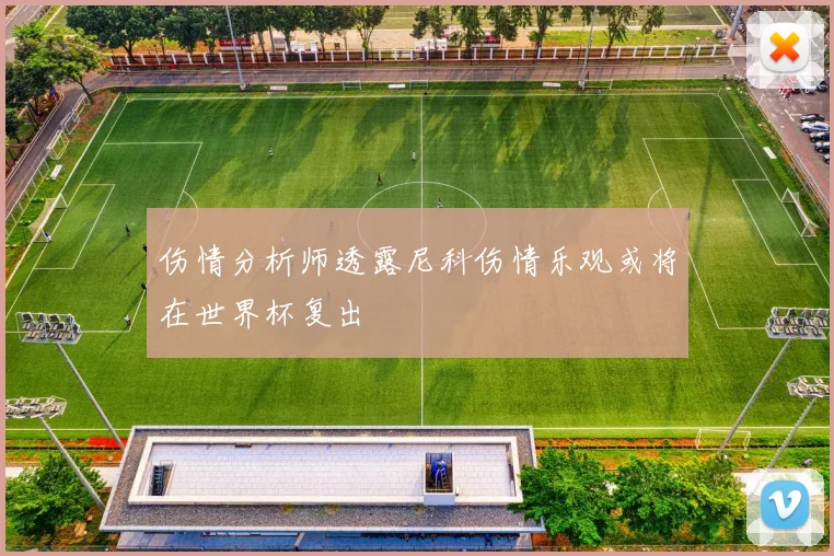 伤情分析师透露尼科伤情乐观或将在世界杯复出